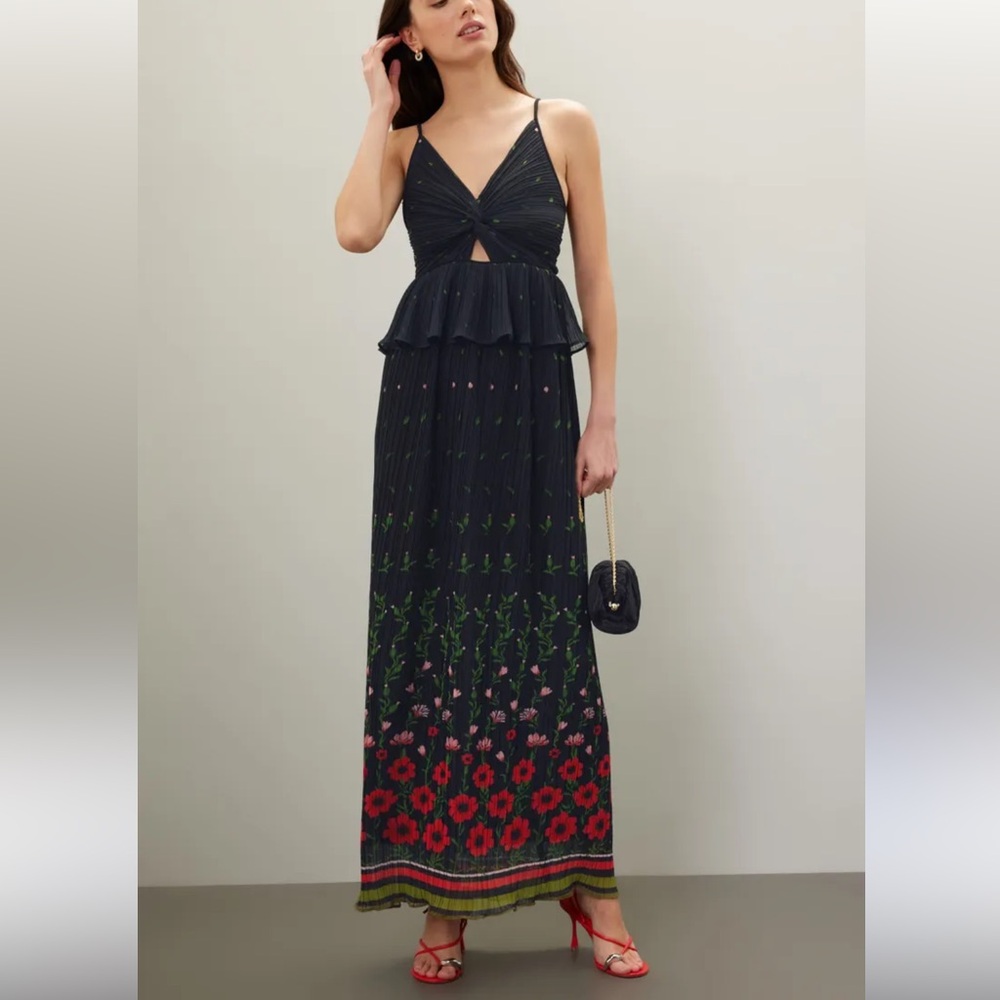 Sabina Musayev Poppy Dipped Pleated Maxi Dress - Picture 2 of 11